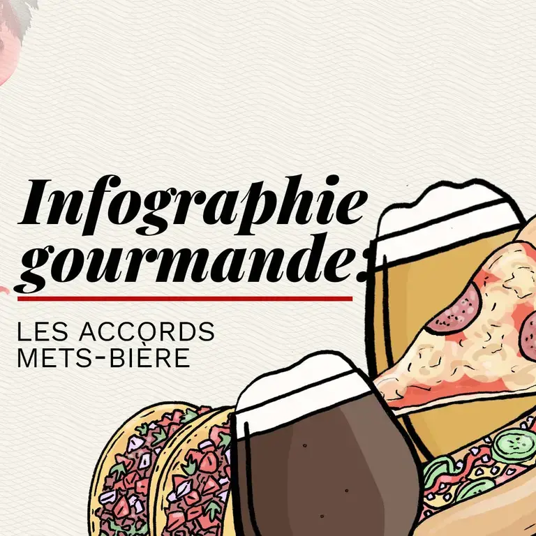 Classification des bières – infographie