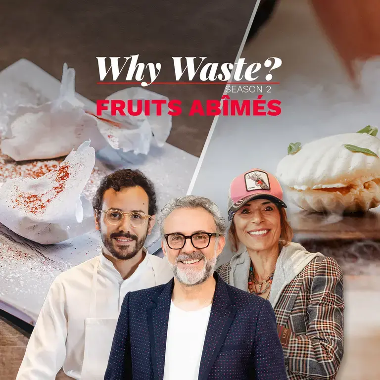 Why Waste ? 2 - Fruits abîmés