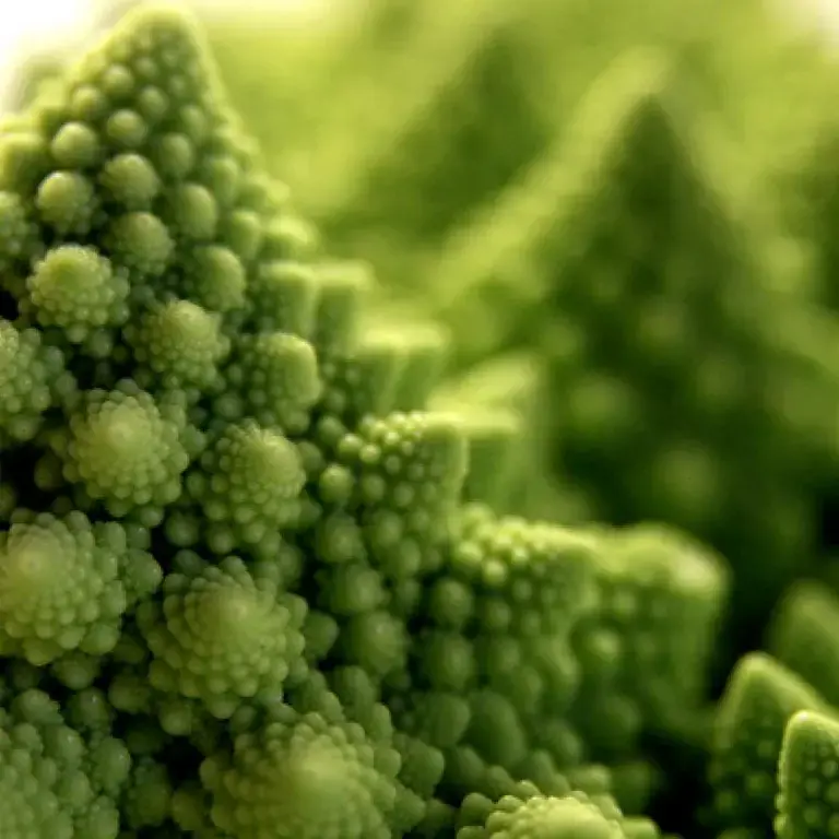 Aliments qui contiennet du nickel