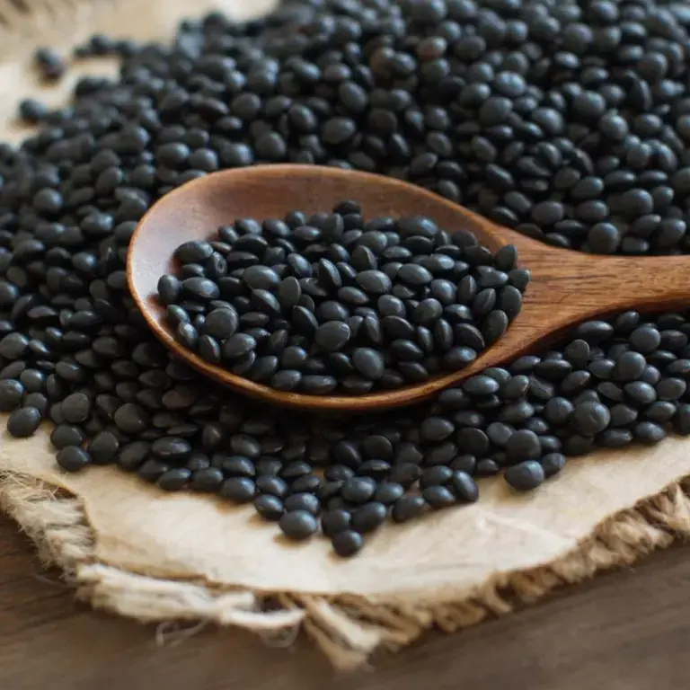lentilles noires