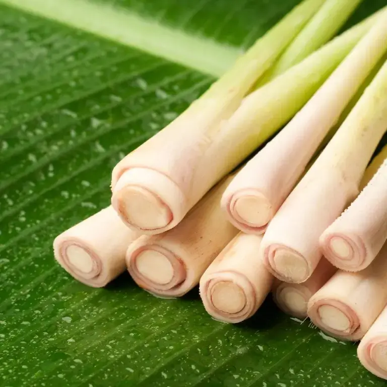Comment utiliser la citronnelle en cuisine