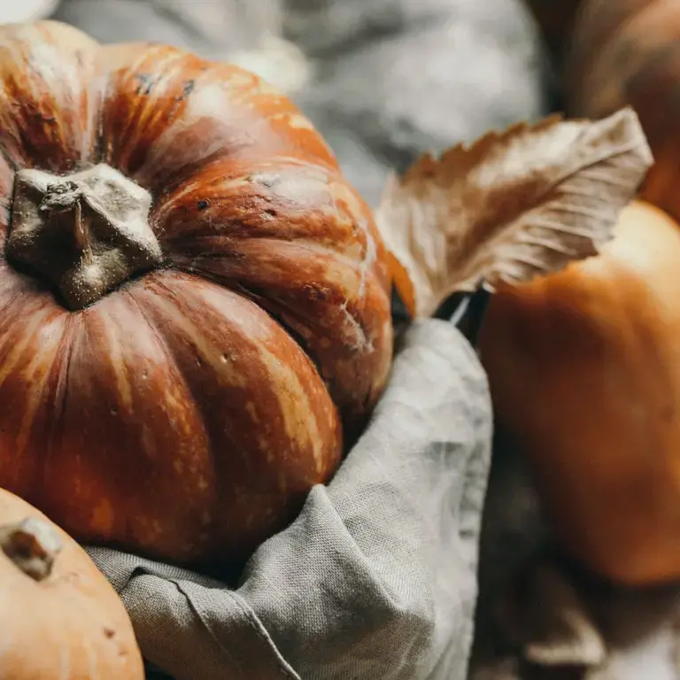 conservation courges