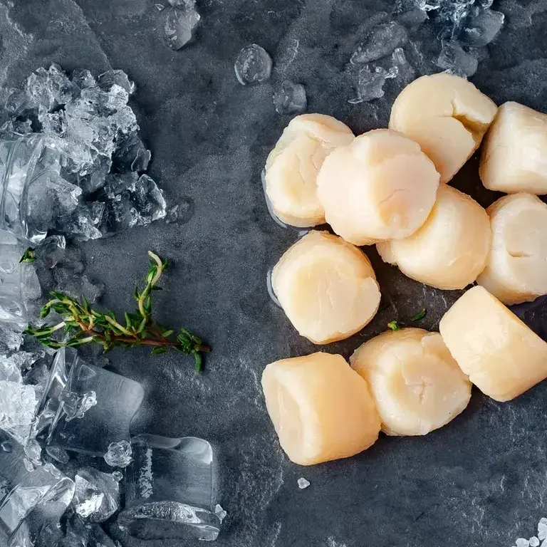 décongeler coquilles Saint-Jacques - Fine Dining Lovers