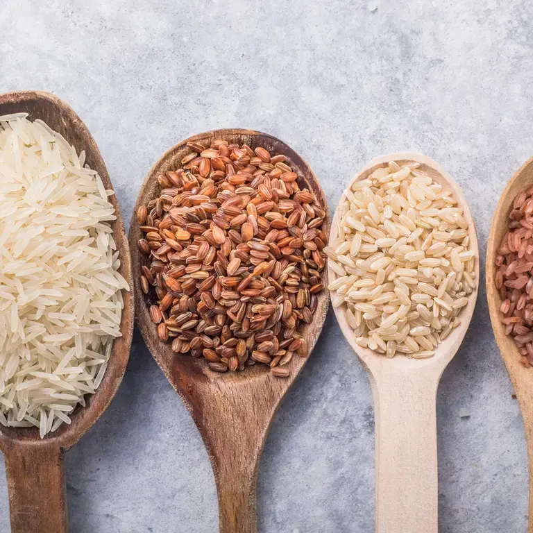 différentes sortes de riz