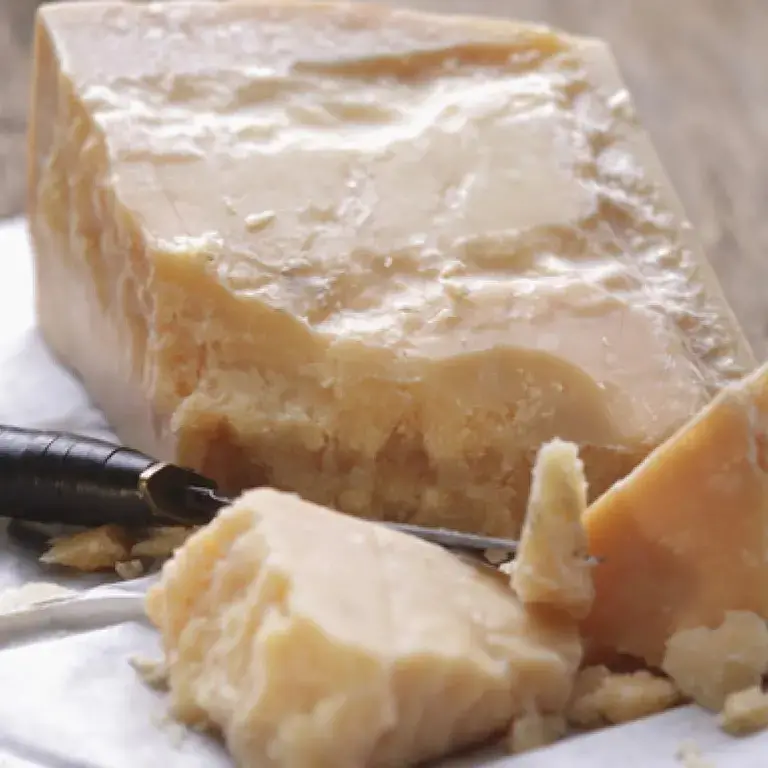 fromages sans lactose