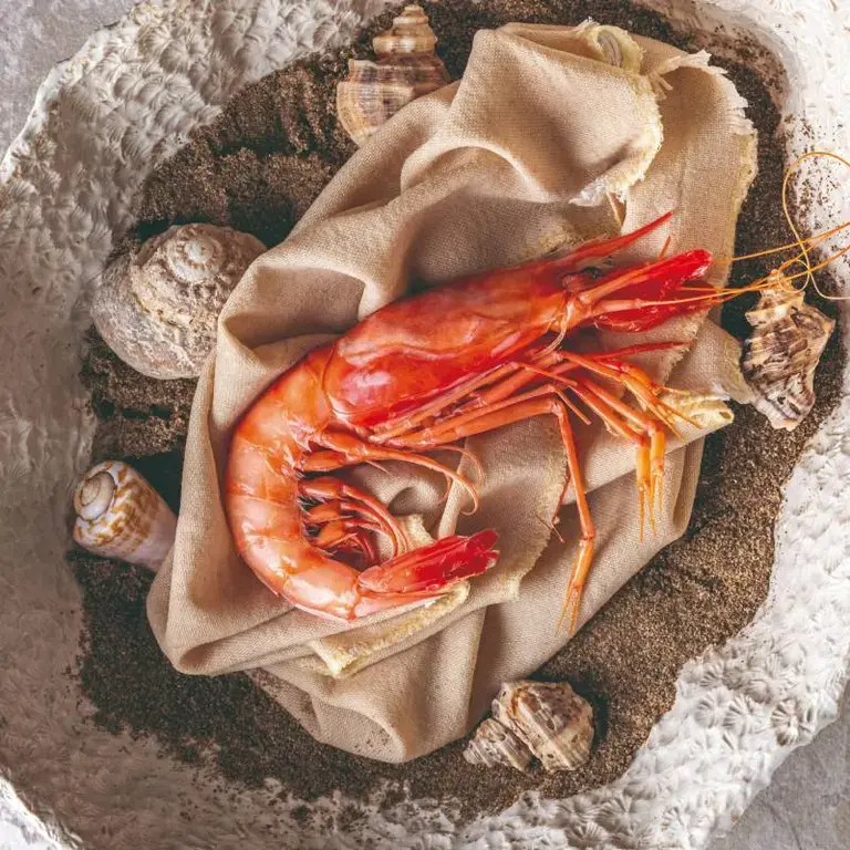gambas rouge