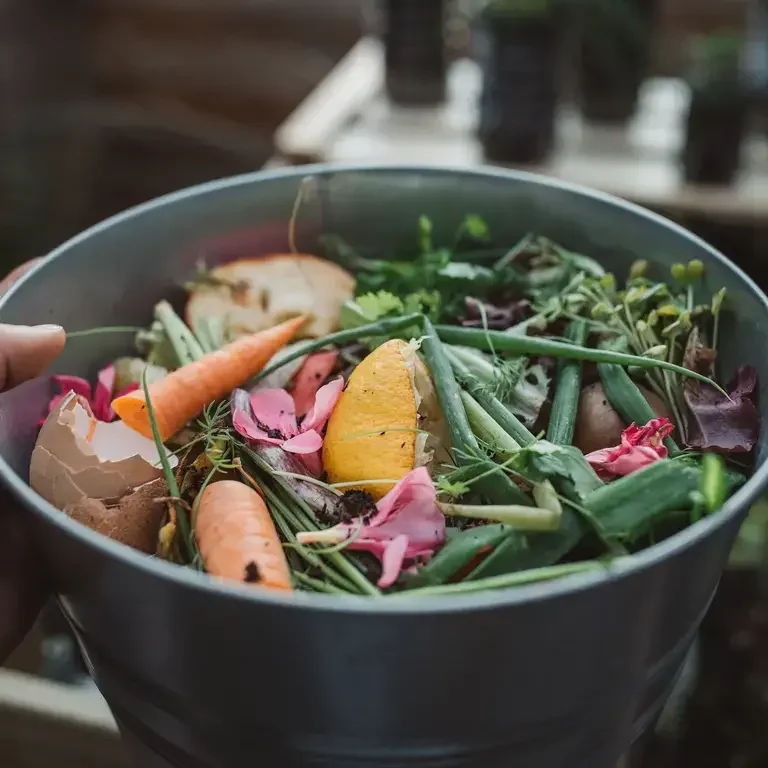 gaspillage alimentaire france