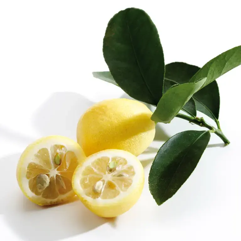 limequat agrume - Fine Dining Lovers