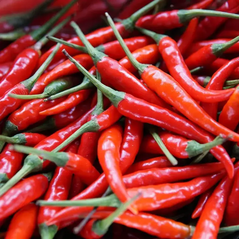 bienfaits piments