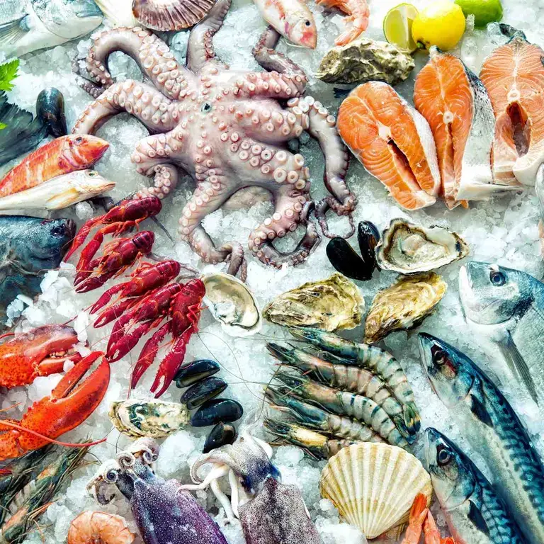 saison des poissons - infographie
