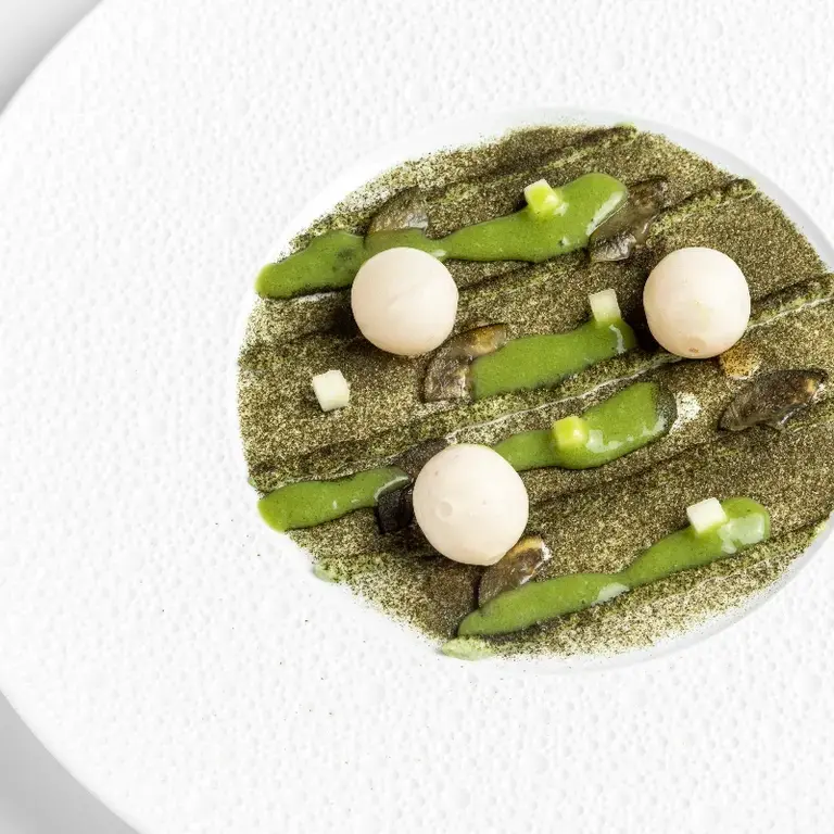 Langoustine, pesto d'algues, extrait de pomme verte et concombres fermentés