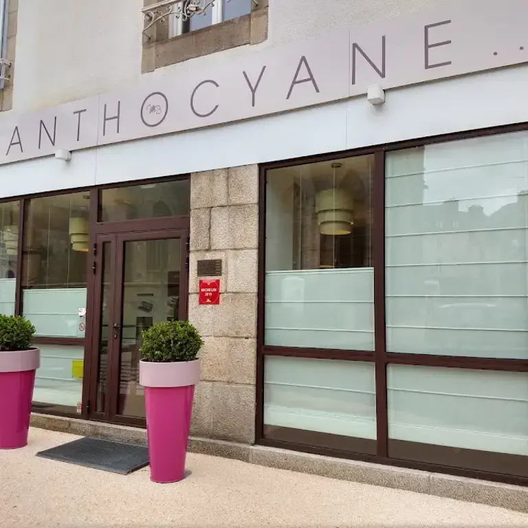 L'Anthocyane