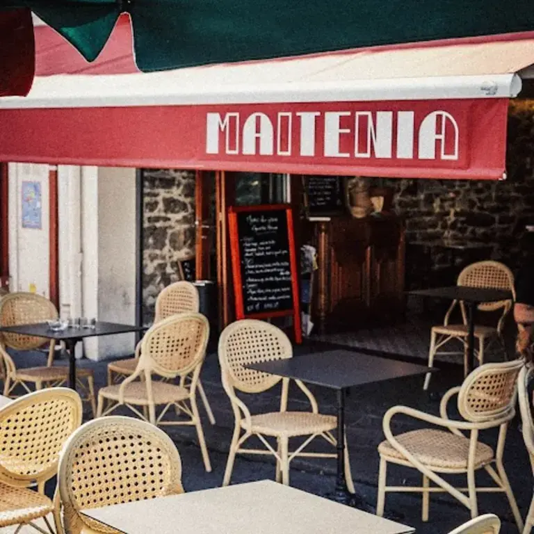 Maitenia Maitenia