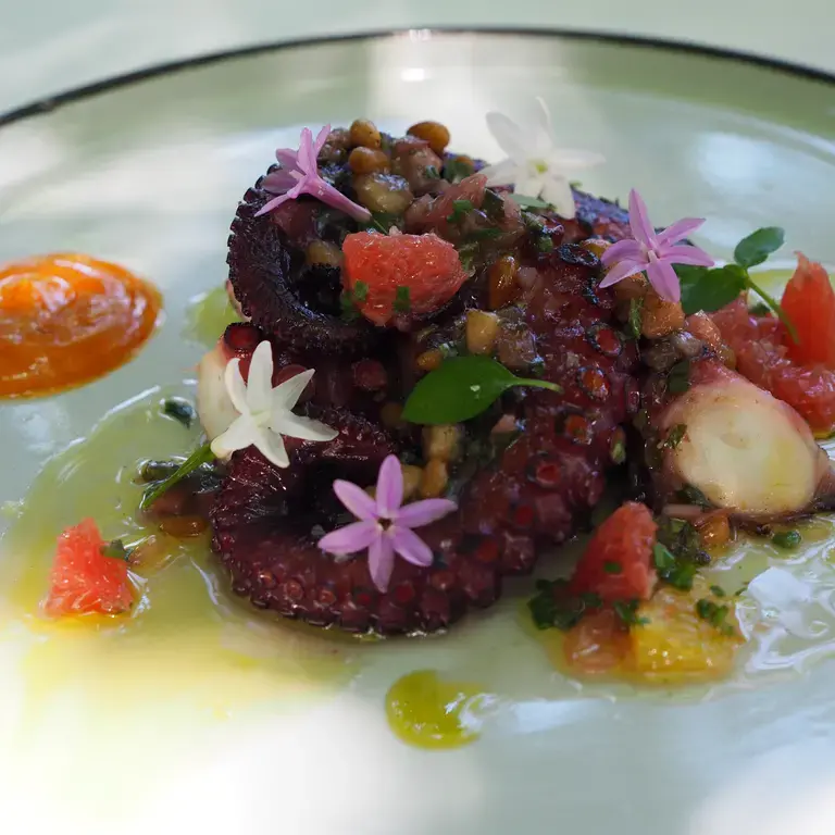 Poulpe à la braise, nectarine et vierge de légumes