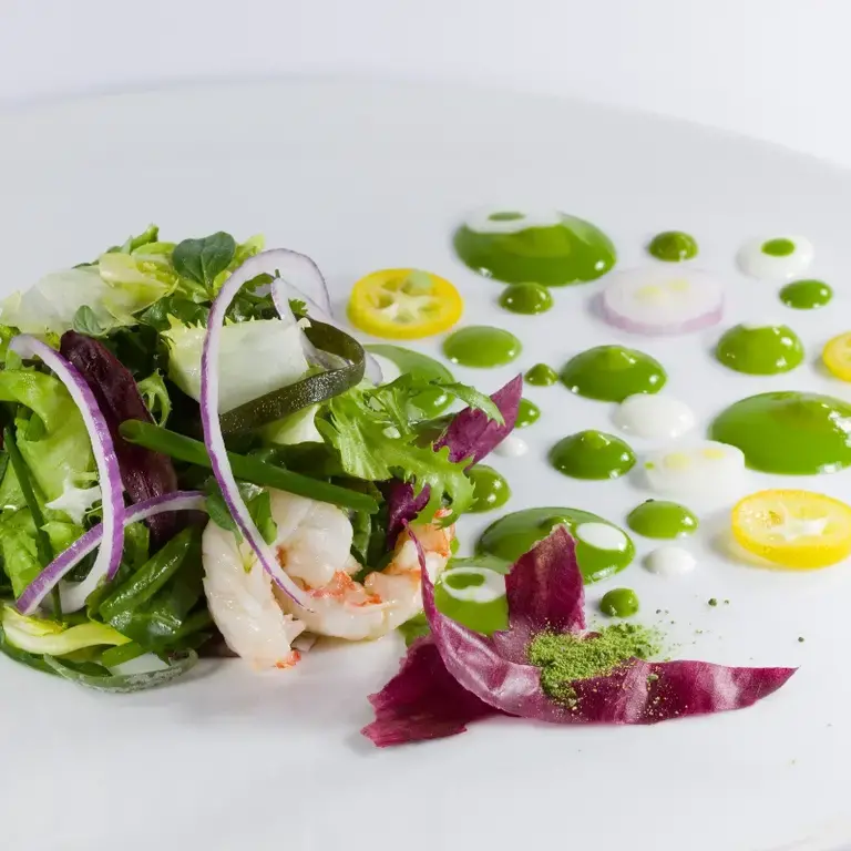 salade verte aux algues