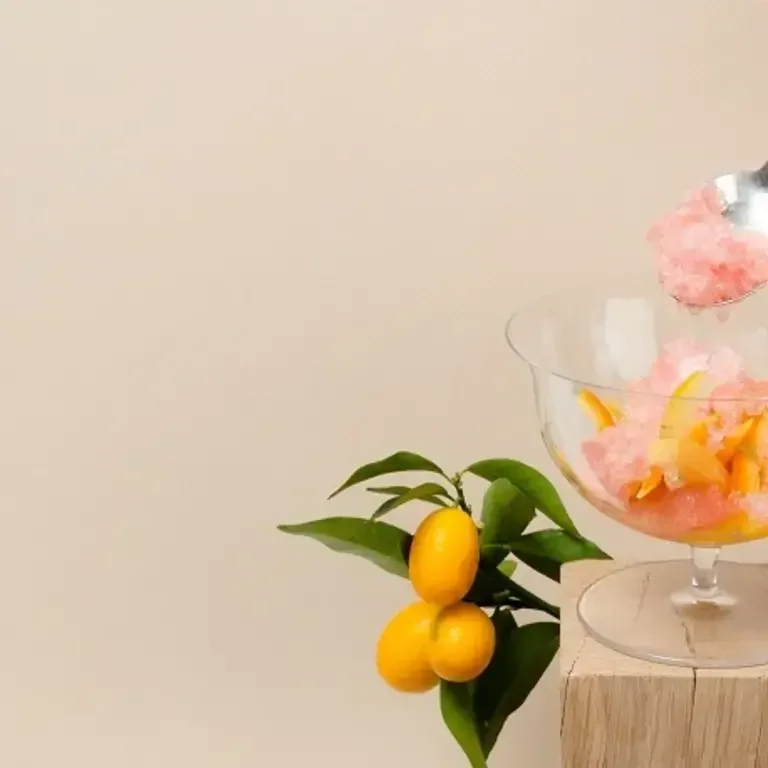 AGRUMES DE CHEZ MICHEL BACHÈS EN AMERTUME,  GRANITÉ SPRITZ DE JESSICA PREALPATO