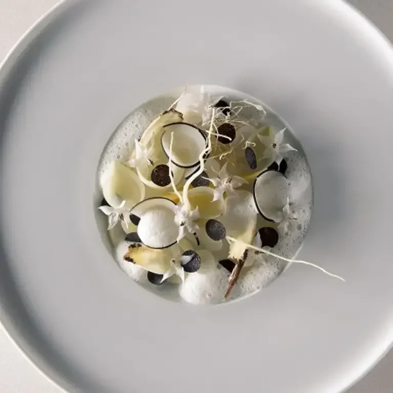 Légumes racines d'hiver, Grana Padano, Melanosporum de Mauro Colagreco