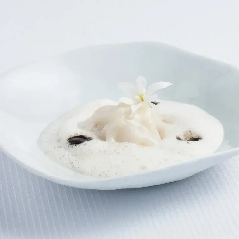 Calamar à l'Aigo Boulido, voile de lard et pesto d'ail noir