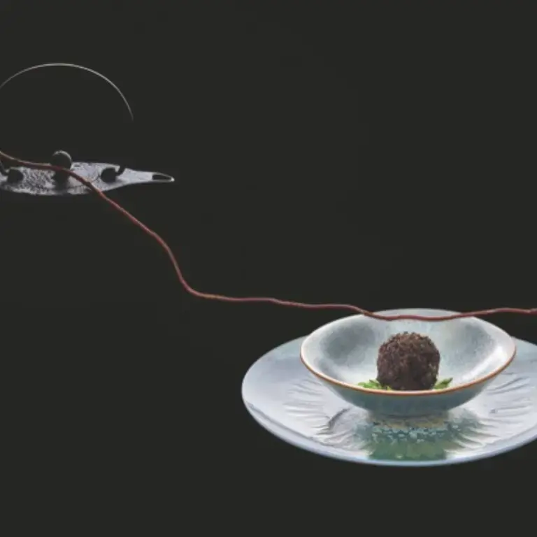 Perdreau, consommé - plat de Kei Kobayashi