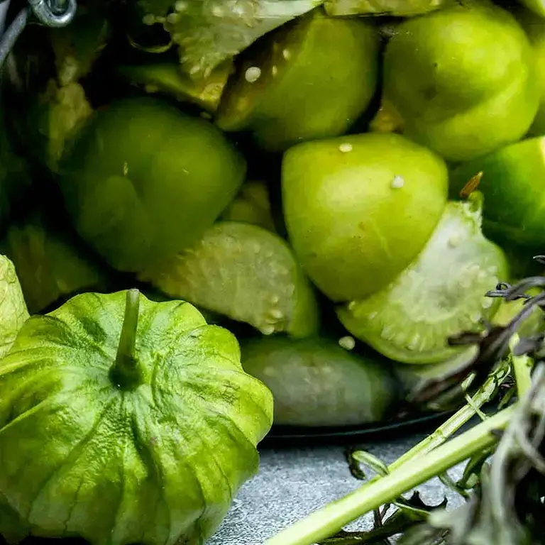 Conservation des aliments