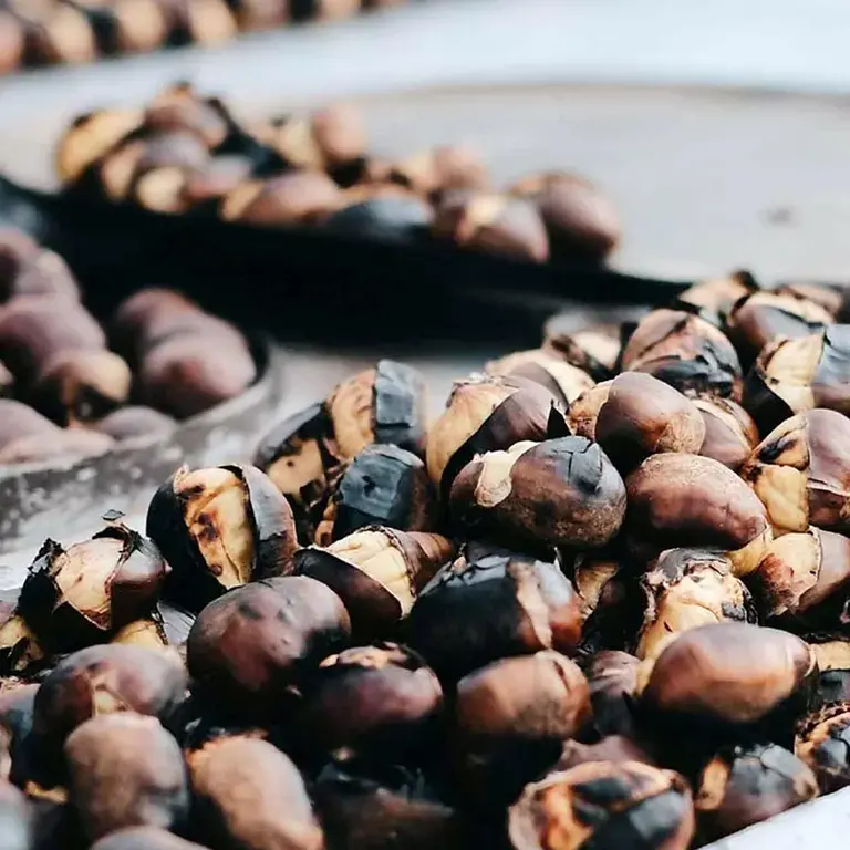 Informations Nutritionnelles