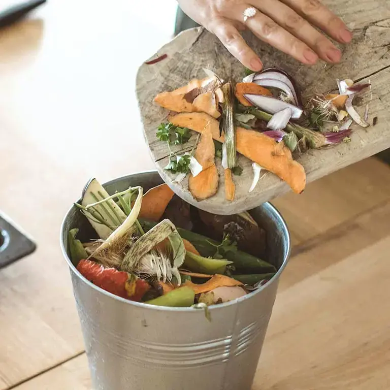 Gaspillage alimentaire