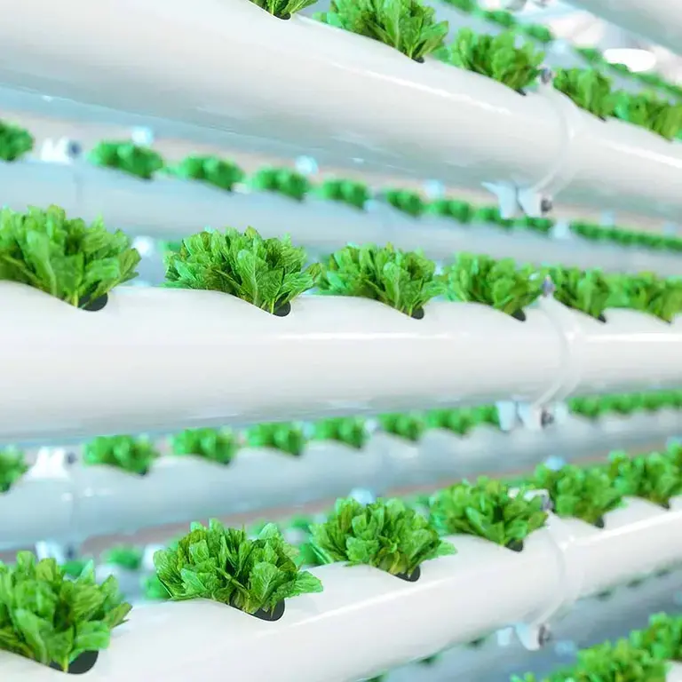 Alimentation durable