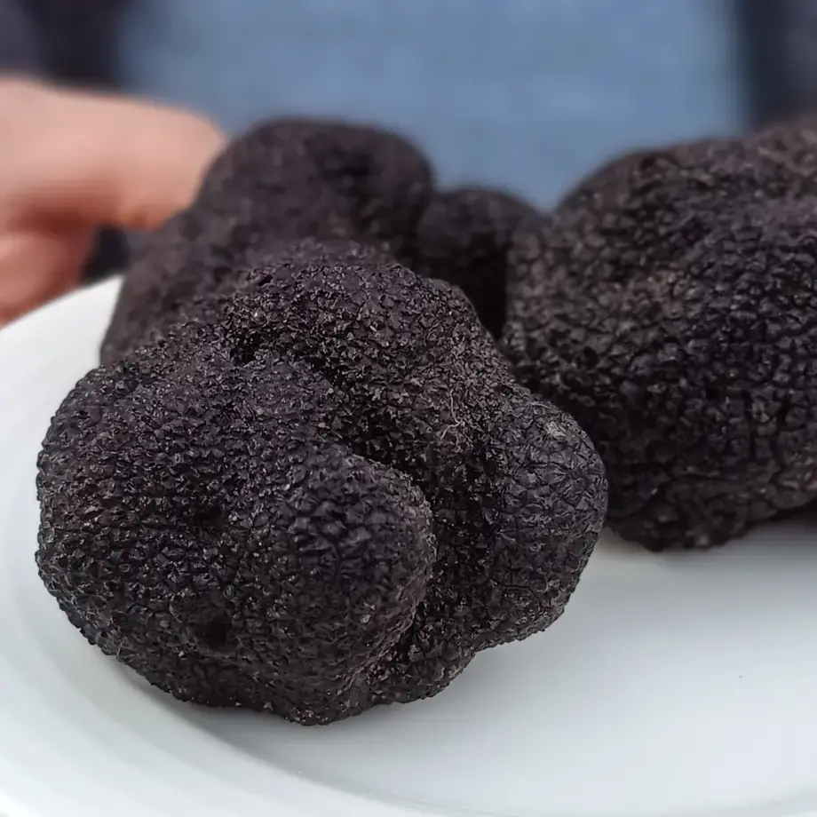 comment bien choisir la truffe