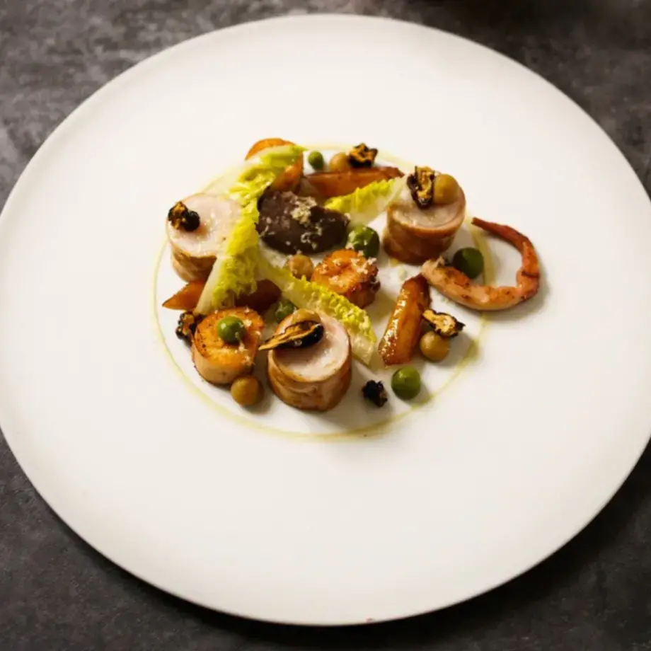 lapin poulpe