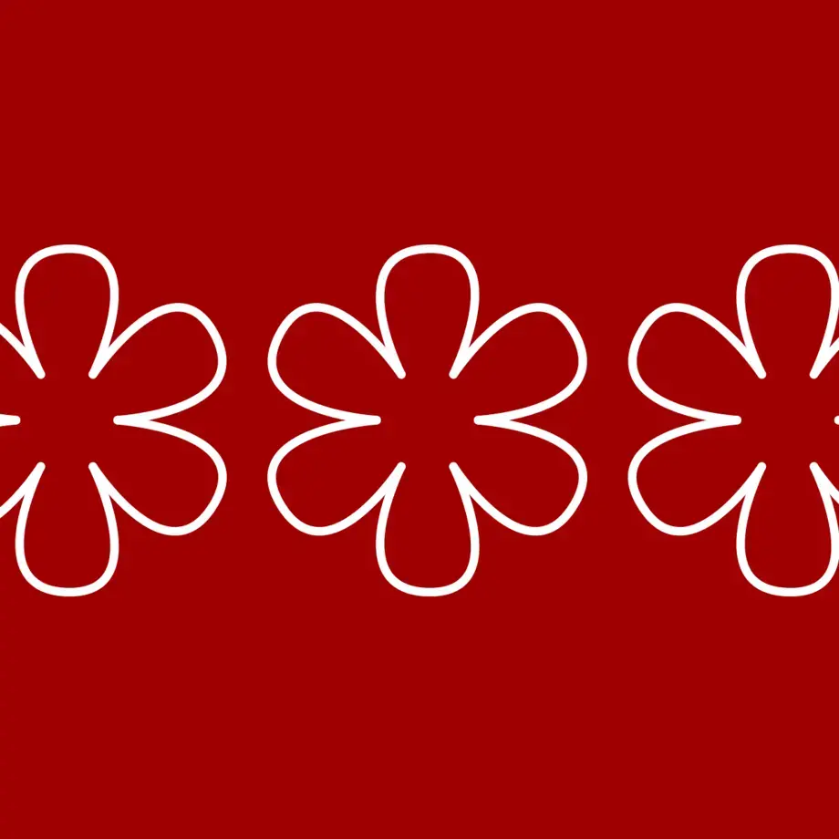 livre guide michelin