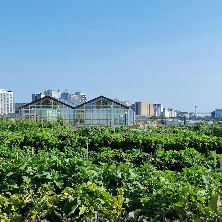 plantation paris