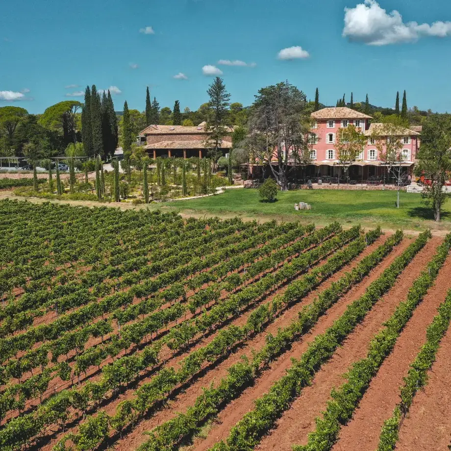 Provence - Domaine Saint-Roux