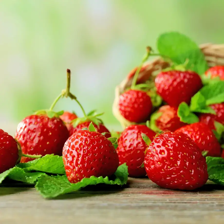 congeler des fraises - Fine Dining Lovers