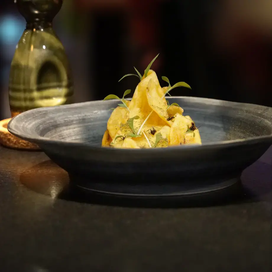 ceviche carlos camino