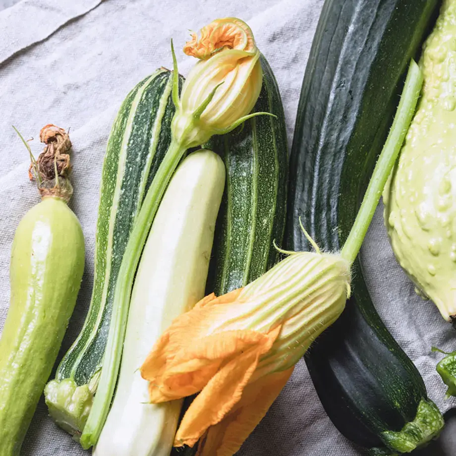 variétés de courgettes – Finedininglovers