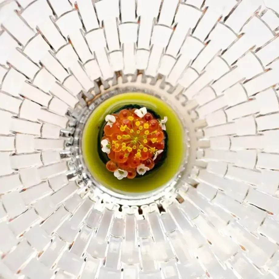 Bottiglieria 1881 – Photo : Malgorzata Minta