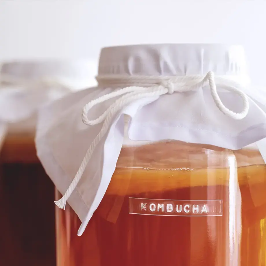 kombucha
