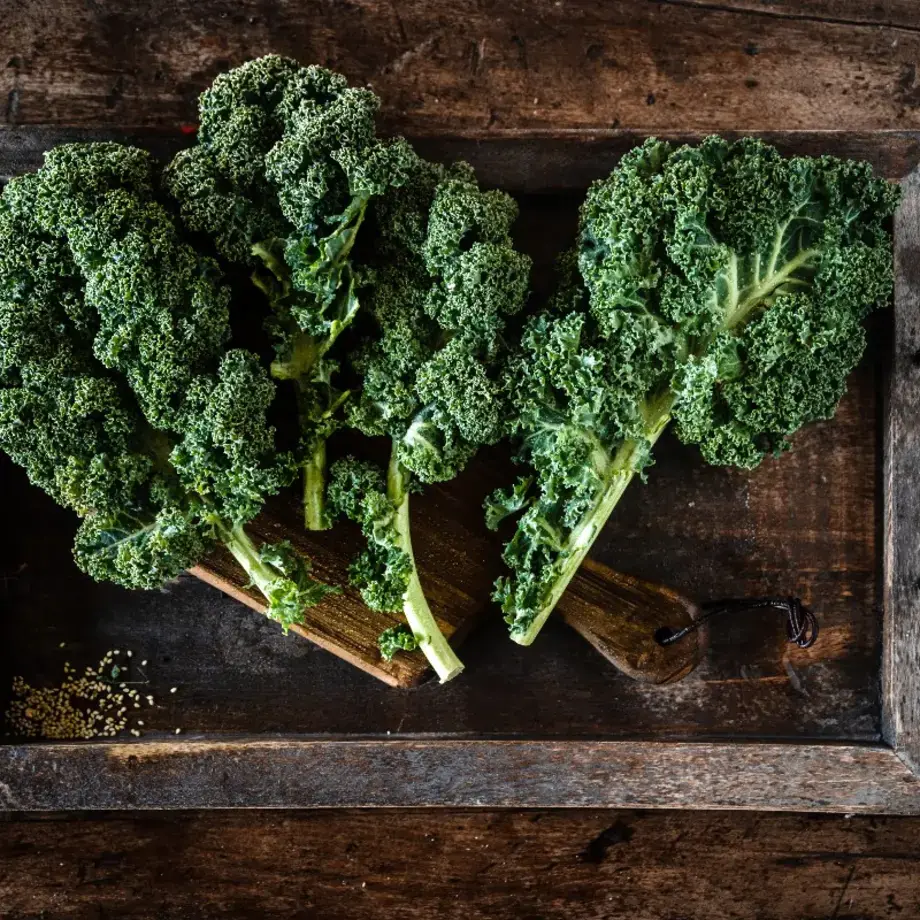 Curly kale (Chou frisé)