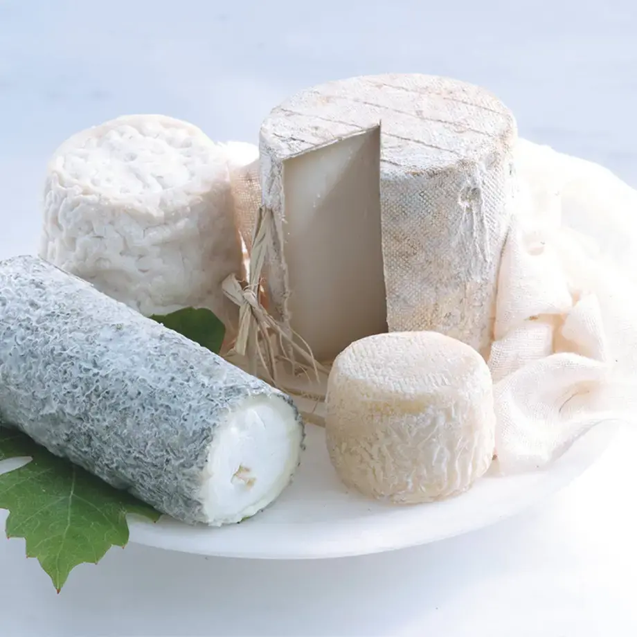 fromages de chèvre
