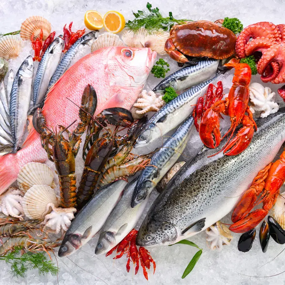 poisson congelé