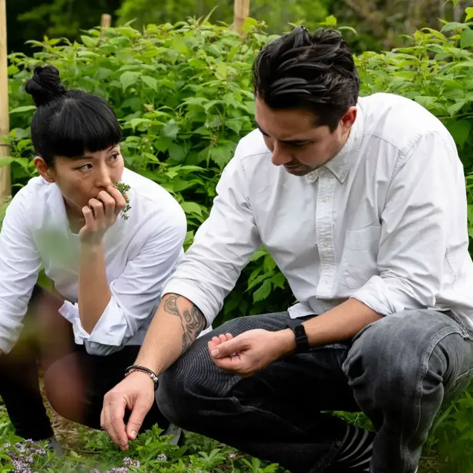 Gil Nogueira et Sakaya Sawaguchi chez Asperatus