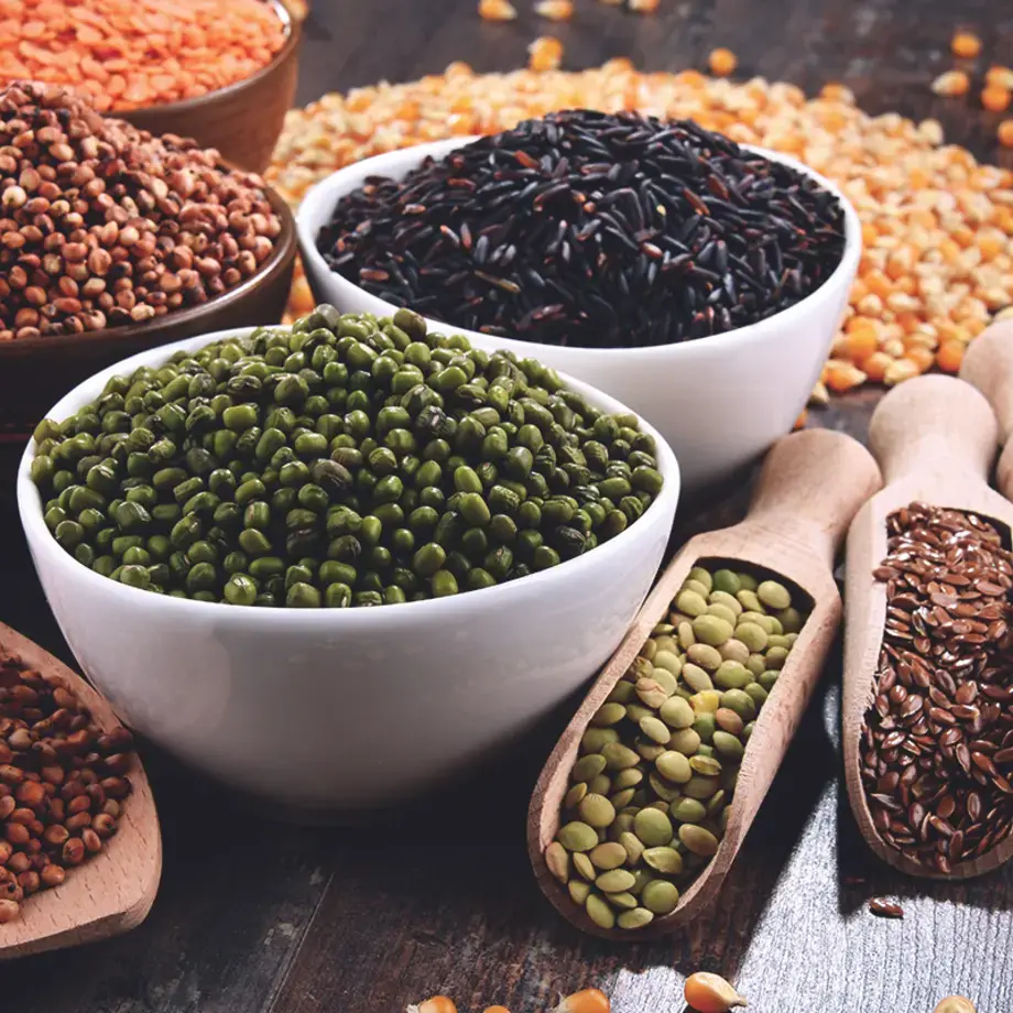 types de lentilles  - Fine Dining Lovers