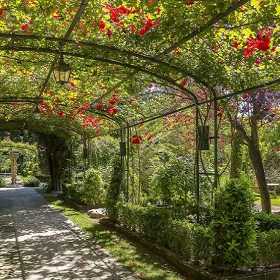 Cuisine provençale : les bons restaurants d'Aix-en-Provence