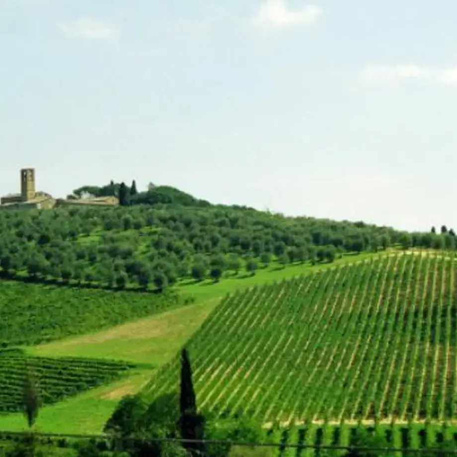 Vins italiens : la carte des crus région par région