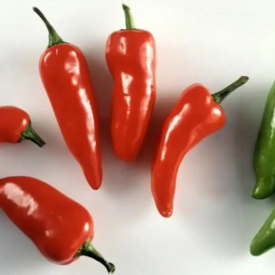 Jalapeño rouge VS jalapeño vert : quelle différence ?