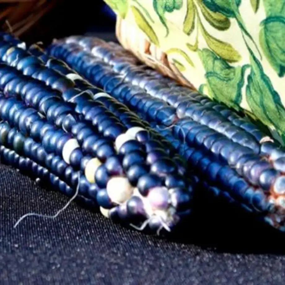 Couleur Pantone 2020 : le Classic Bleu dans la nourriture