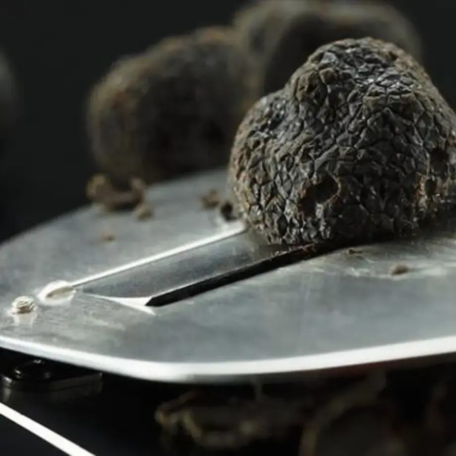 Comment servir la truffe : règles pour apprécier pleinement de le goût de la truffe