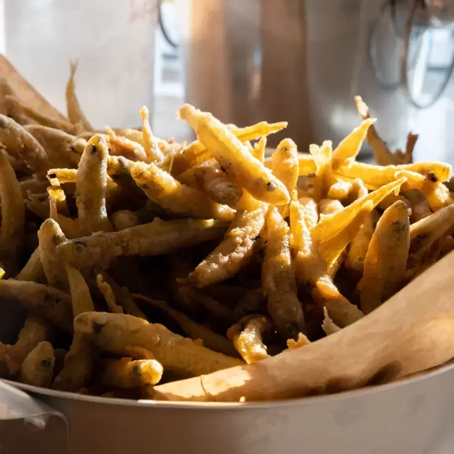 Osmerus eperlanus poisson éperlan