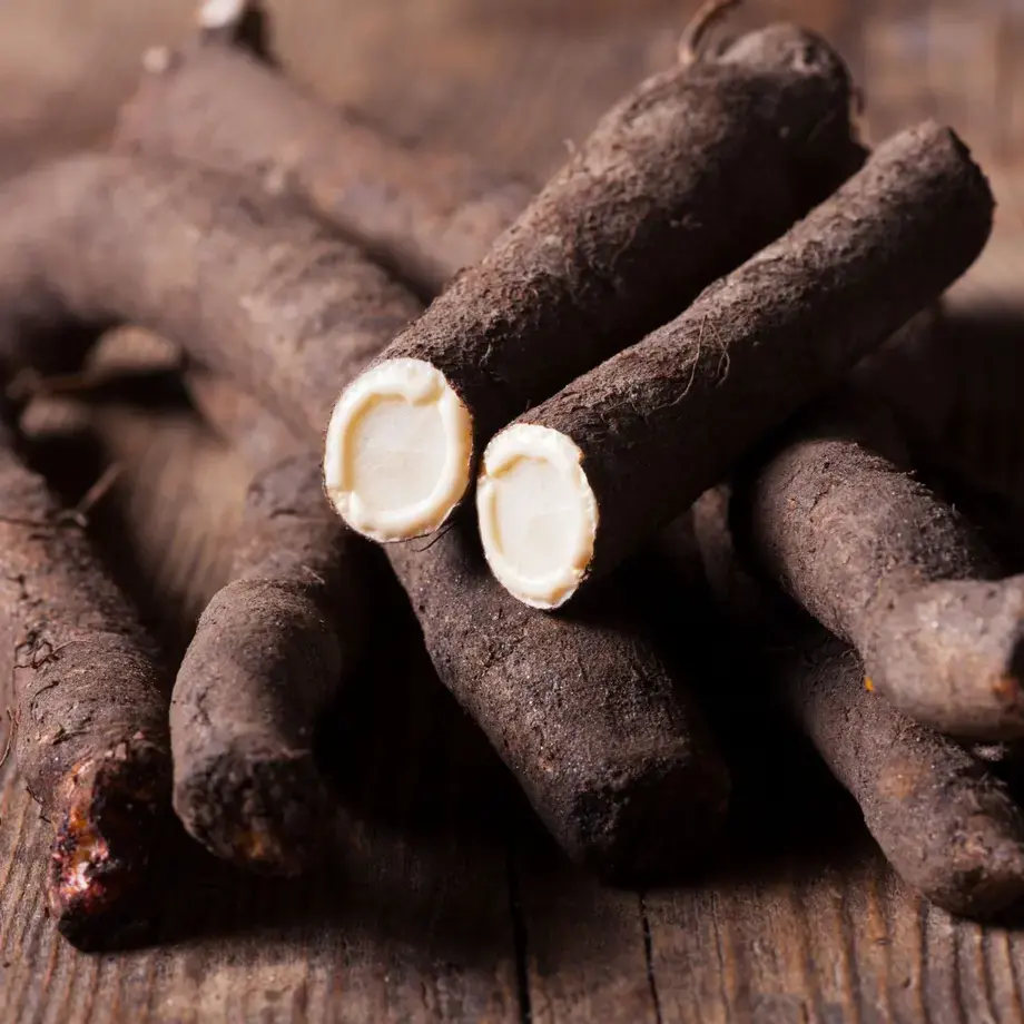 Tragopogon - Fine Dining Lovers