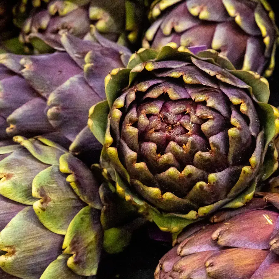 aliments amers - Fine Dining Lovers